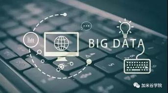 大數據 驅動現代產業變革的核心引擎